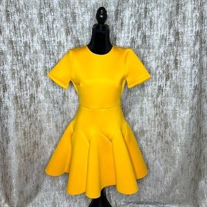 Golden Yellow Flare Dress- never worn
